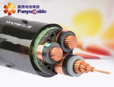 銅芯交聯(lián)鋼帶鎧裝護套電力電纜